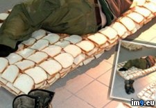 Tags: bread, wtf (Pict. in My r/WTF favs)