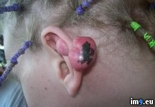 Tags: ear, juggalo, lady, tattoo, tomato, wtf, young (Pict. in My r/WTF favs)