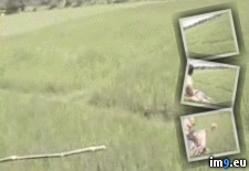 Tags: holy, shit, wtf (GIF in My r/WTF favs)