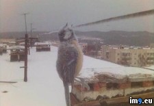 Tags: cold, russia, wtf (Pict. in My r/WTF favs)