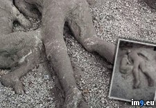 Tags: human, pompei, remains, wtf (Pict. in My r/WTF favs)