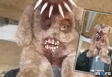 Tags: haunted, house, mask, wtf (Pict. in My r/WTF favs)