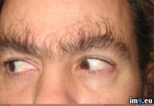 Tags: eyebrow, hair, long, pick, raise, see, wtf, you (Pict. in My r/WTF favs)
