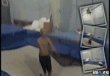 Tags: flip, safe, try, wtf (GIF in My r/WTF favs)