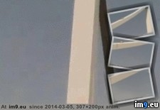 Tags: bridge, guy, sliding, wtf (GIF in My r/WTF favs)