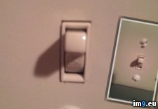 Tags: cold, indoor, light, switch, wtf (Pict. in My r/WTF favs)