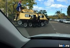 Tags: australian, everyday, gold, normal, tank, wedding, wtf (Pict. in My r/WTF favs)