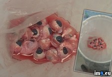 Tags: enucleation, meant, nope, out, wtf (Pict. in My r/WTF favs)