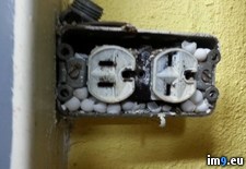 Tags: eggs, kitchen, lizard, remodeling, wtf (Pict. in My r/WTF favs)