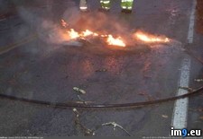 Tags: dog, electrocuted, fell, fire, friends, live, road, set, street, was, wire, wtf, yard (Pict. in My r/WTF favs)