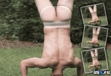 Tags: defecates, gif, handstand, male, man, scat, upside, wtf (GIF in My r/WTF favs)