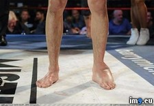 Tags: fighters, foot, kicking, wtf (Pict. in My r/WTF favs)