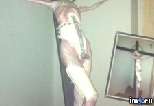 Tags: friend, house, room, slept, standing, strangers, traveling, was, wtf (Pict. in My r/WTF favs)