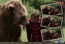 Tags: bears, fear, grizzly, wtf (GIF in My r/WTF favs)