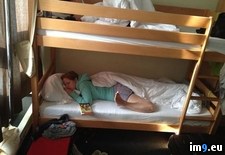 Tags: comfortable, night, sleep, wtf (Pict. in My r/WTF favs)