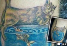 Tags: cat, fish, lovers, odd, tattoo, twitter, wtf (Pict. in My r/WTF favs)