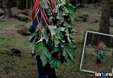 Tags: old, people, vegetation, wearing, wtf (Pict. in My r/WTF favs)