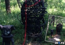 Tags: hike, suddenly, wtf (Pict. in My r/WTF favs)