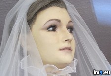 Tags: bridal, corpse, creepy, embalmed, exhibition, mannequin, pascualita, shop, wtf, xpost (Pict. in My r/WTF favs)