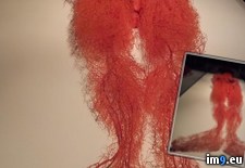 Tags: arteries, human, preserved, wtf (Pict. in My r/WTF favs)
