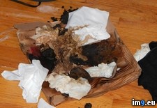 Tags: checked, cigs, lying, room, roommate, smoking, was, worse, wtf (Pict. in My r/WTF favs)