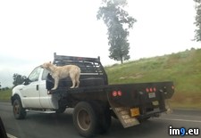 Tags: concerned, highway, saw, wtf (Pict. in My r/WTF favs)