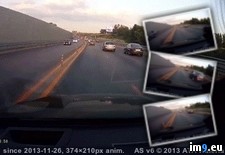 Tags: are, important, seatbelts, wtf (GIF in My r/WTF favs)