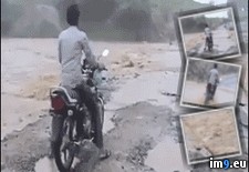 Tags: safe, shit, wtf (GIF in My r/WTF favs)