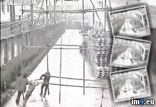 Tags: electrocution, simultaneous, workers, wtf (GIF in My r/WTF favs)