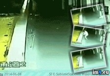 Tags: 5th, college, death, dormitory, floor, plunges, sleepwalking, student, wtf (GIF in My r/WTF favs)
