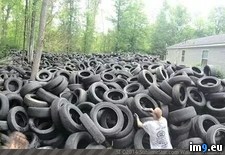 Tags: backyard, city, tires, wtf (Pict. in My r/WTF favs)