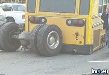 Tags: brothers, bus, happened, wtf (Pict. in My r/WTF favs)