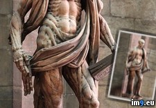 Tags: bartholomew, christian, draped, martyr, pelt, skinned, statue, wtf (Pict. in My r/WTF favs)