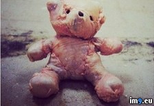 Tags: bear, chicken, teddy, wtf (Pict. in My r/WTF favs)