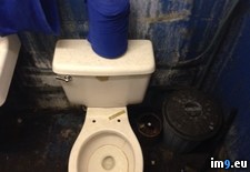 Tags: bathroom, job, new, wtf (Pict. in My r/WTF favs)