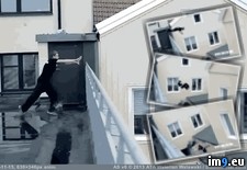 Tags: elusive, habitat, natural, parkour, tard, wtf (GIF in My r/WTF favs)