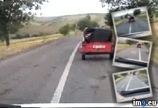Tags: escape, great, pig, wtf (GIF in My r/WTF favs)
