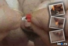 Tags: firecracker, foreskin, place, worst, wtf (GIF in My r/WTF favs)