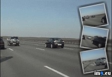 Tags: place, trunk, worst, wtf (GIF in My r/WTF favs)