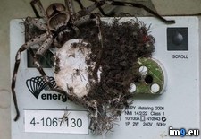 Tags: electricity, meter, wtf (Pict. in My r/WTF favs)