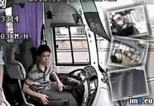 Tags: belts, buses, seat, why, wtf (GIF in My r/WTF favs)