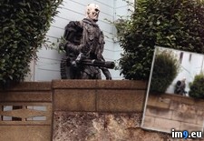 Tags: bushes, house, terminator, wtf (Pict. in My r/WTF favs)