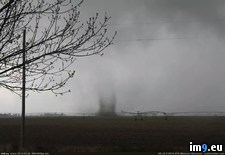 Tags: formation, tornado, wtf, yard (Pict. in My r/WTF favs)