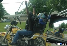 Tags: biker, motorcycles, true, wtf (Pict. in My r/WTF favs)