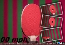 Tags: ball, hits, paddle, ping, pong, stationary, wtf (GIF in My r/WTF favs)