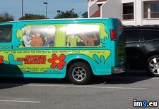 Tags: gang, scooby, wtf (Pict. in My r/WTF favs)