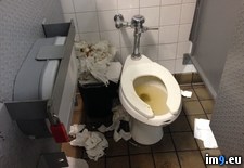 Tags: damage, flush, paper, people, plumber, toilet, why, wtf (Pict. in My r/WTF favs)