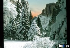 Tags: covered, dome, landscape, national, park, snow, valley, yosemite (Pict. in Branson DeCou Stock Images)