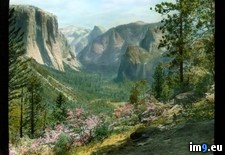 Tags: bloom, capitan, glacier, national, park, point, valley, wildflowers, yosemite (Pict. in Branson DeCou Stock Images)