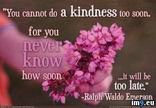 Tags: emerson, kindness, late, quote, ralph, waldo (Pict. in Rehost)